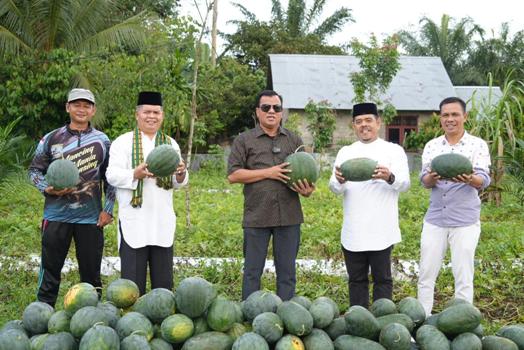 Dukung Peningkatan Ekonomi Masyarakat, Plt Bupati Panen Raya Semangka di Kebun Pemuda Milenial